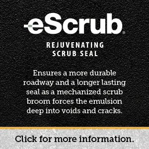 Rejuvenating Scrub Seal
